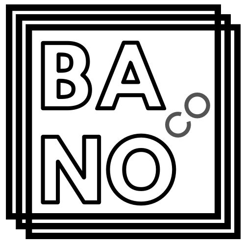 Bartosz Nowakowski Consulting